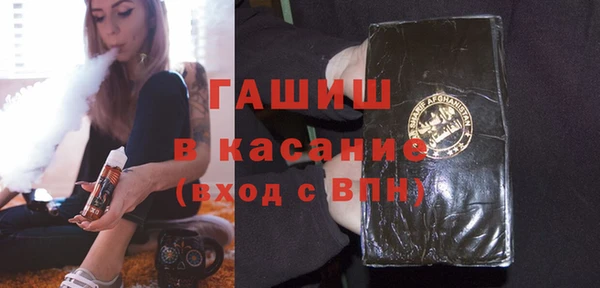 индика Кинешма