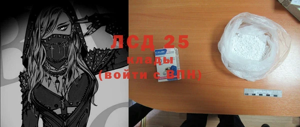 индика Кинешма