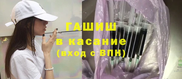 индика Кинешма
