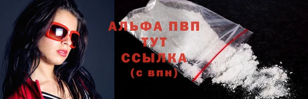 индика Кинешма