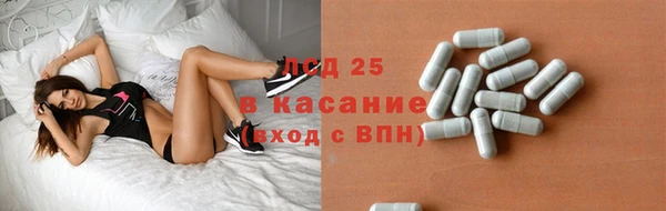 индика Кинешма