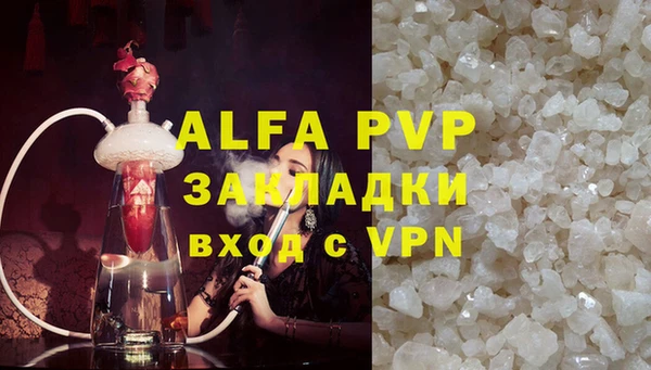 индика Кинешма