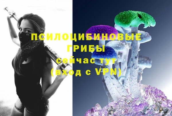 бошки Кодинск