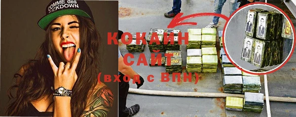 индика Кинешма