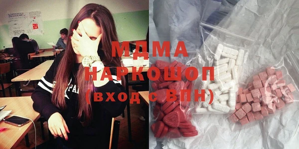 индика Кинешма