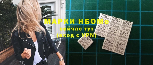 индика Кинешма