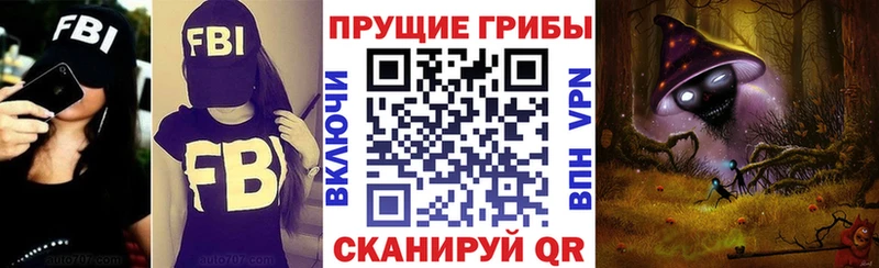 Купить закладки  Бикин  Псилоцибиновые грибы Psilocybe 