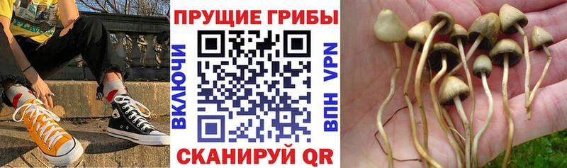 Псилоцибиновые грибы ЛСД Бикин